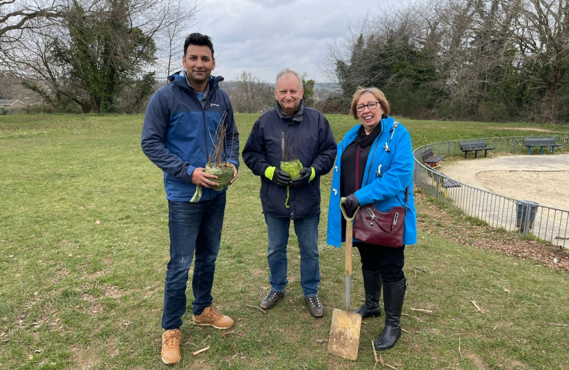 Tree Planting