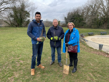 Tree Planting